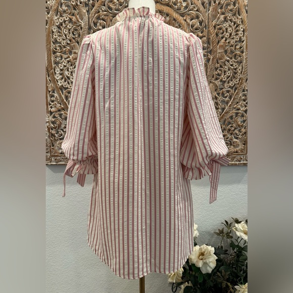 Entro White & Pink Stripe SearSucker Mini Dress, Exaggerated Balloon Sleeves - Picture 3 of 16